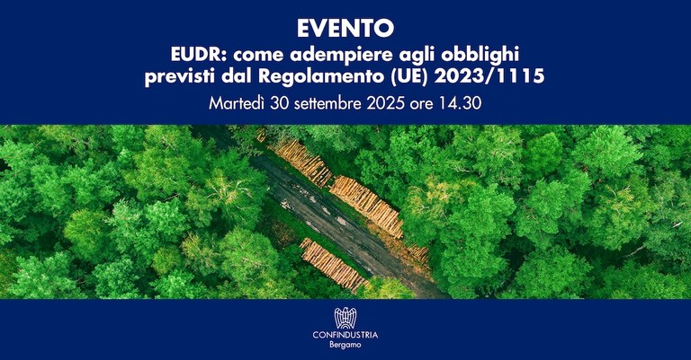 EUDR: come adempiere agli obblighi previsti dal Regolamento (UE) 2023/1115